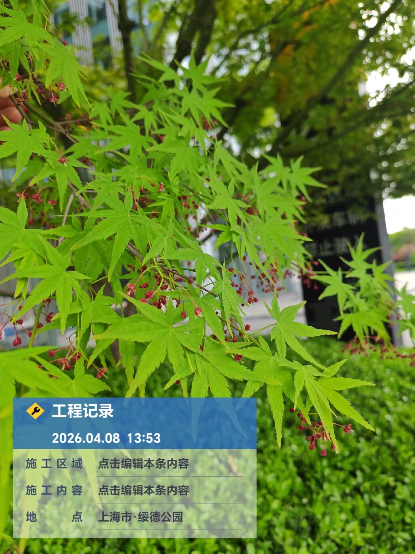 1ed40ecfb003ab55c9bfd2106abb877d.jpg