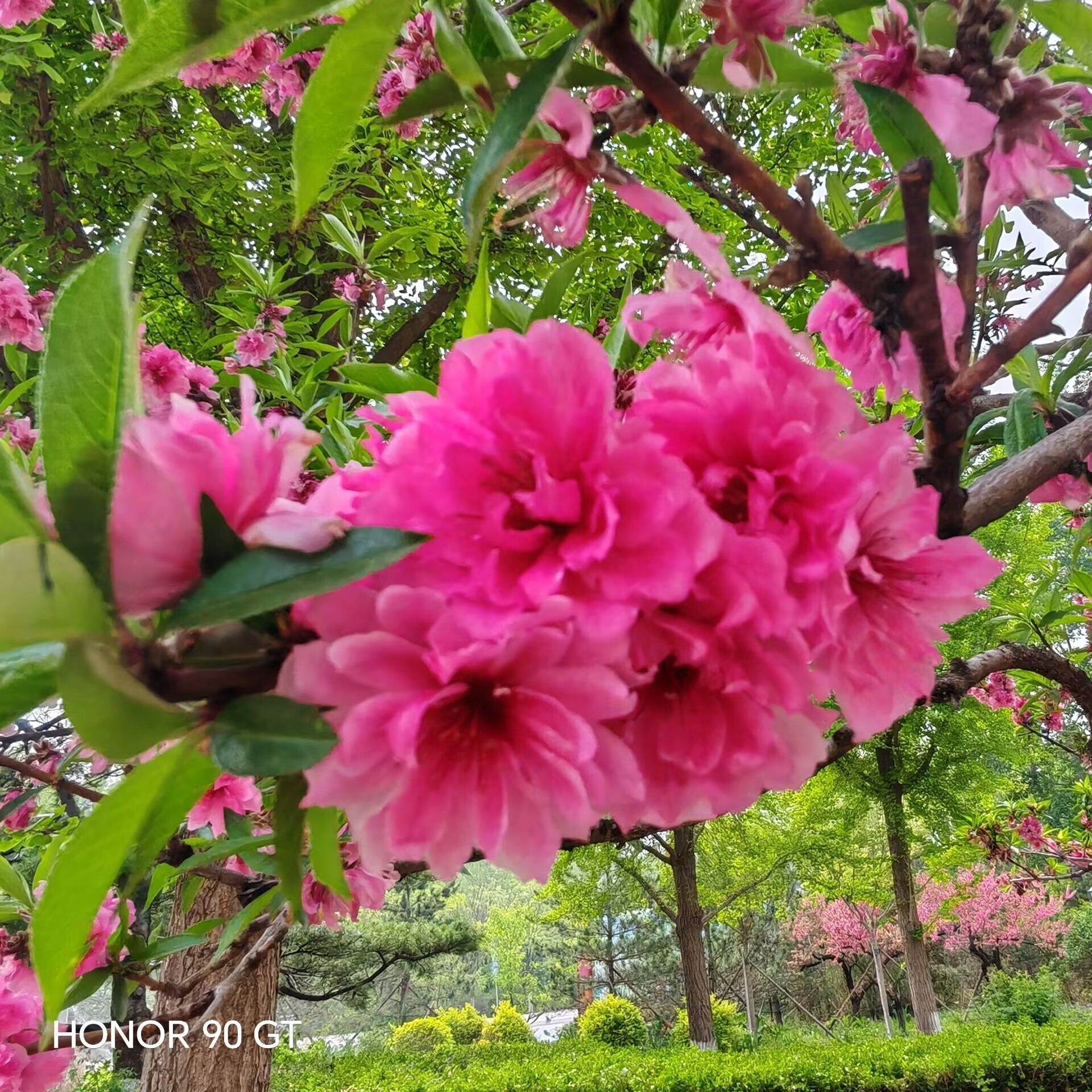 9ed70fec5b3bc4eb8225e73279040563.jpg