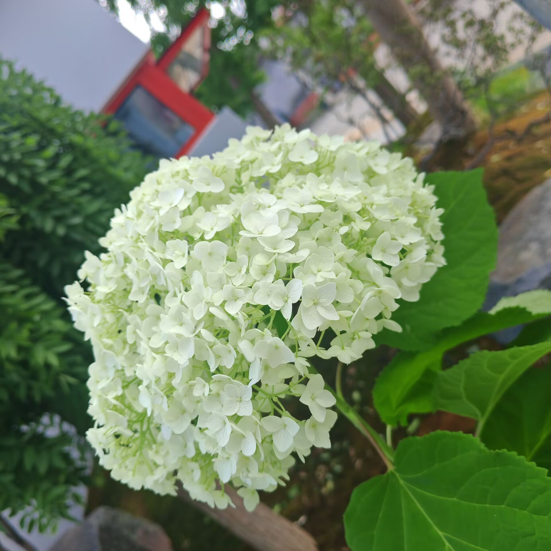 44da408f0b98f4d0a78efd564a3c72c3.jpg