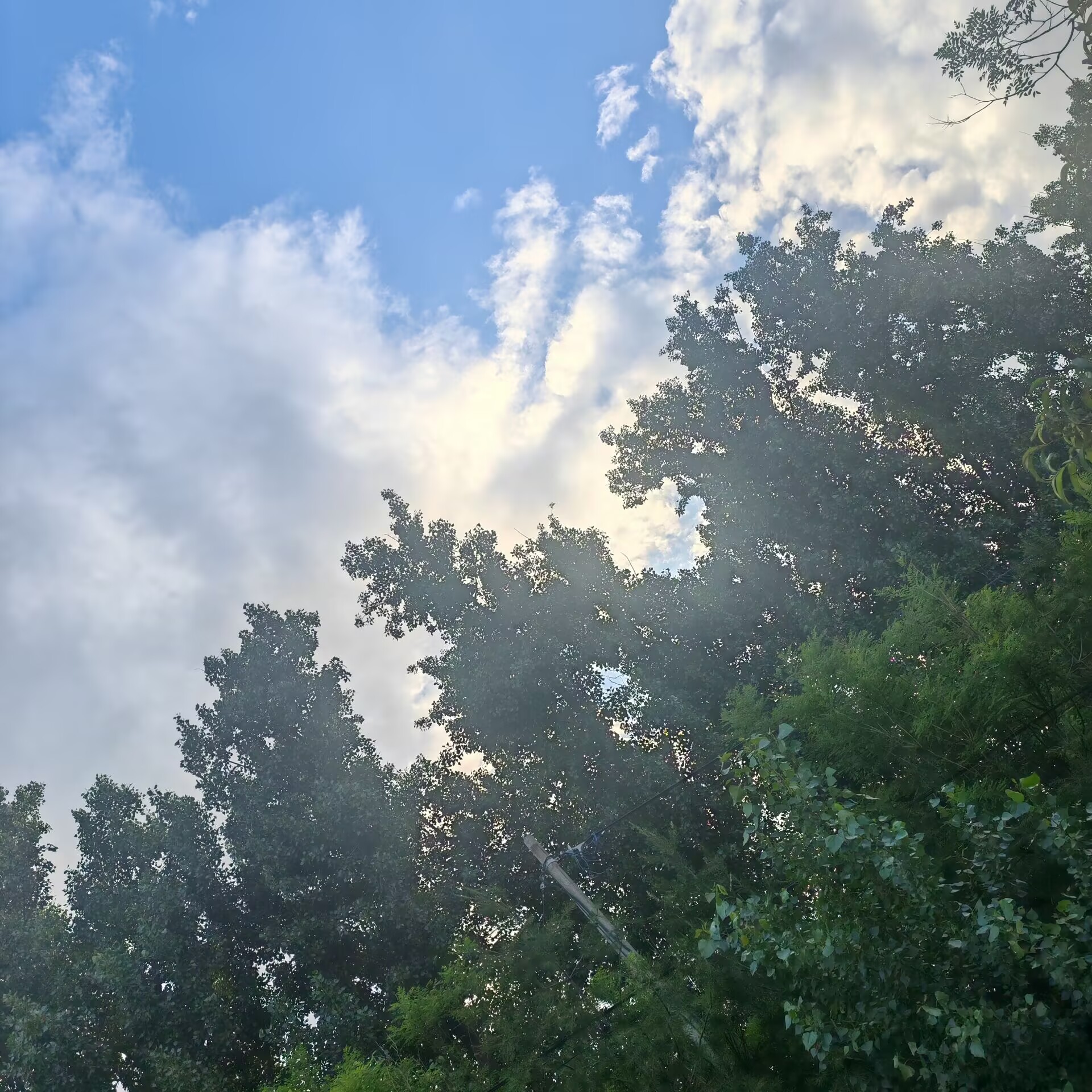 9e8645dbb1299c871f9c308519e78fd1.jpg