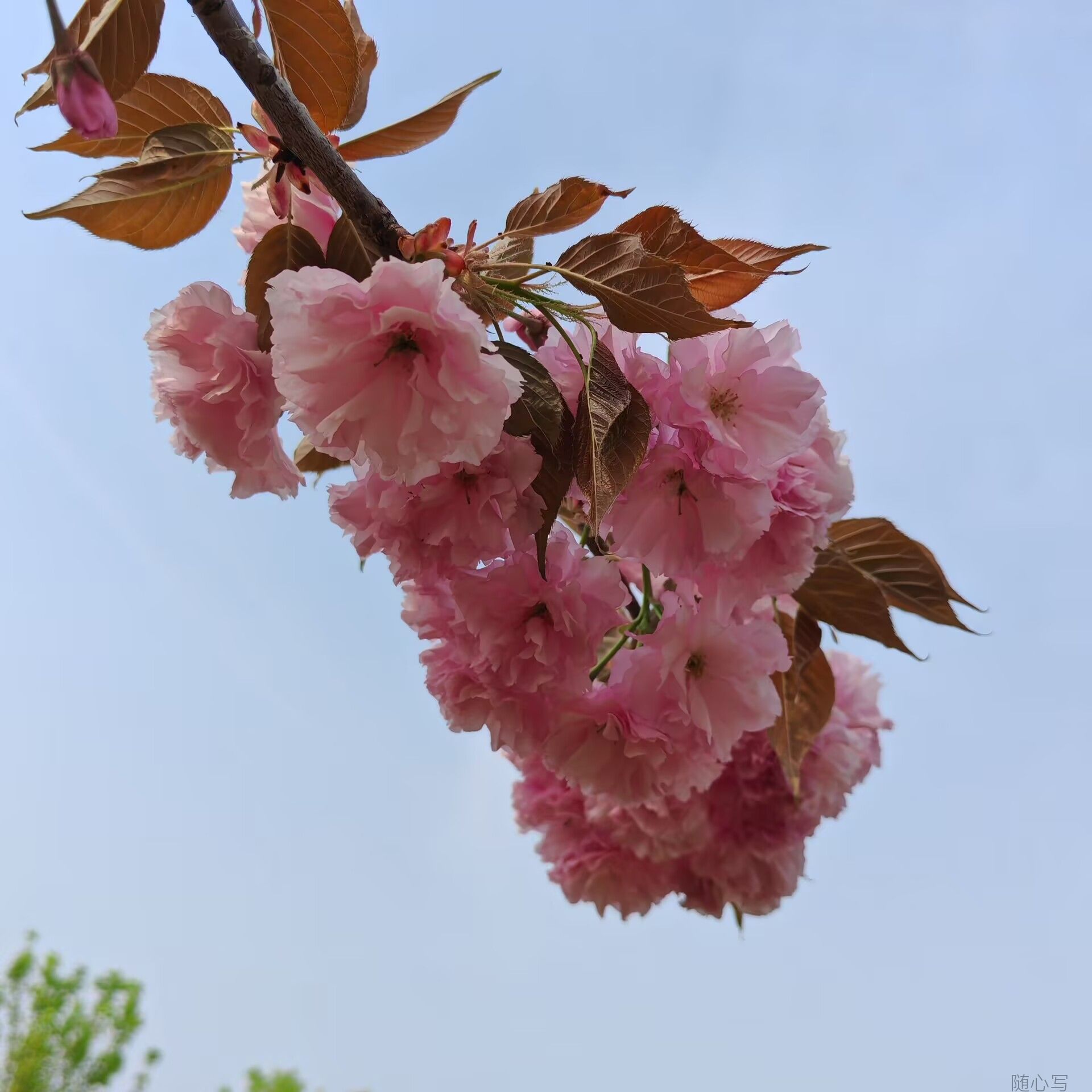 17bc006da37147a5674b84ecac421c3e.jpg
