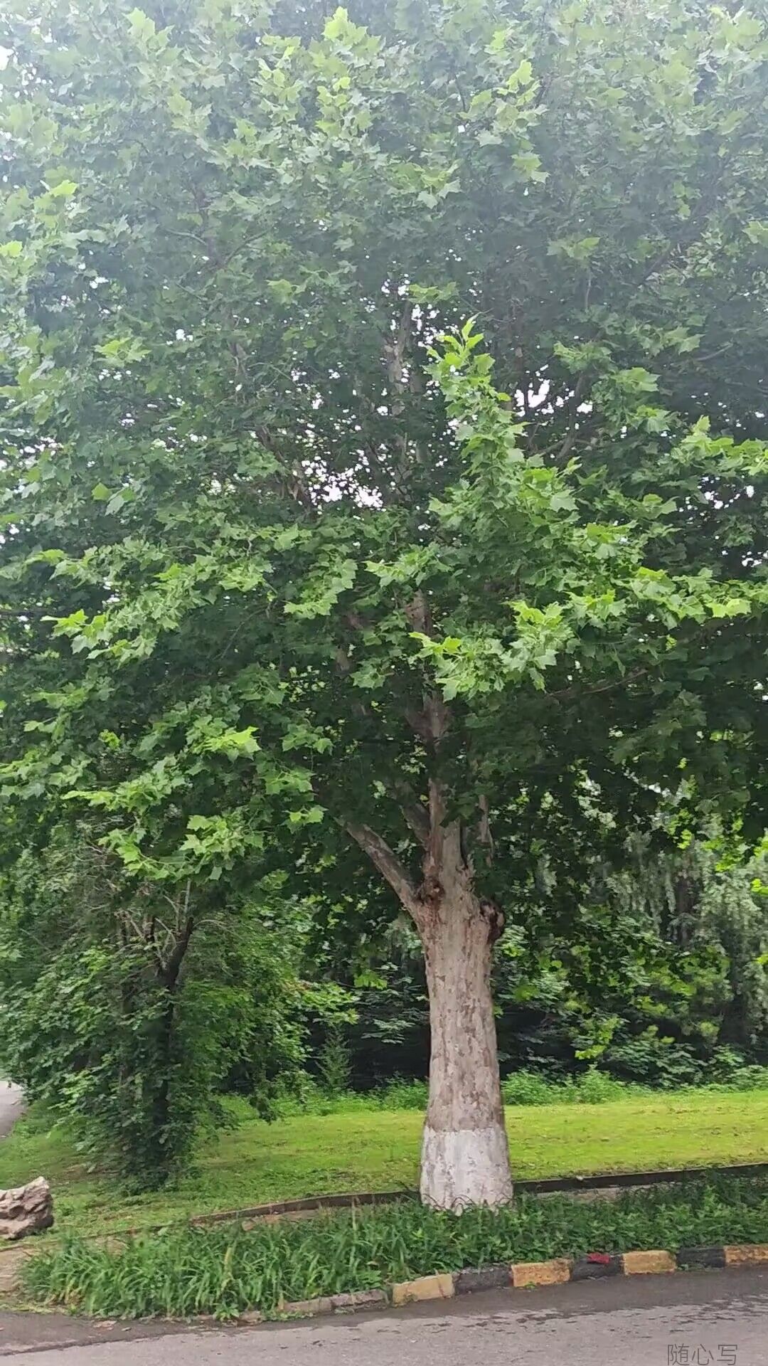 b8aa520941784d3638be6b017bd69114.jpg