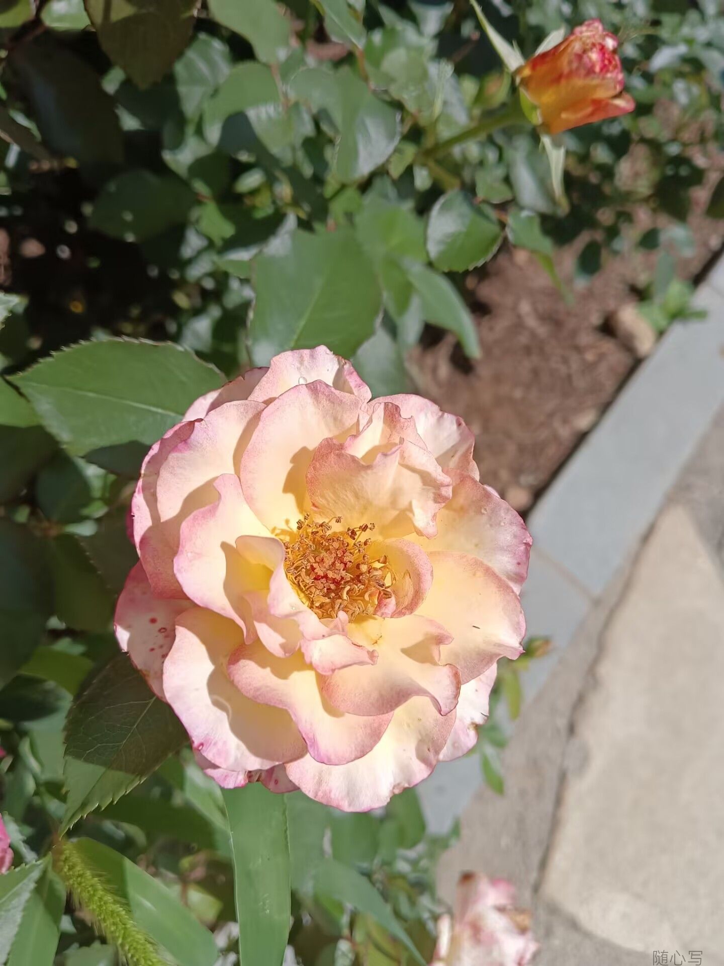 05b919c9bdf8d8be9c0f102b787f3fe3.jpg