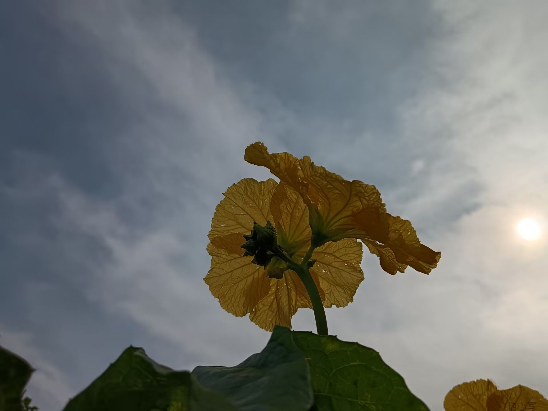 0a61d68cb38cec65460fb02e68565df5.jpg
