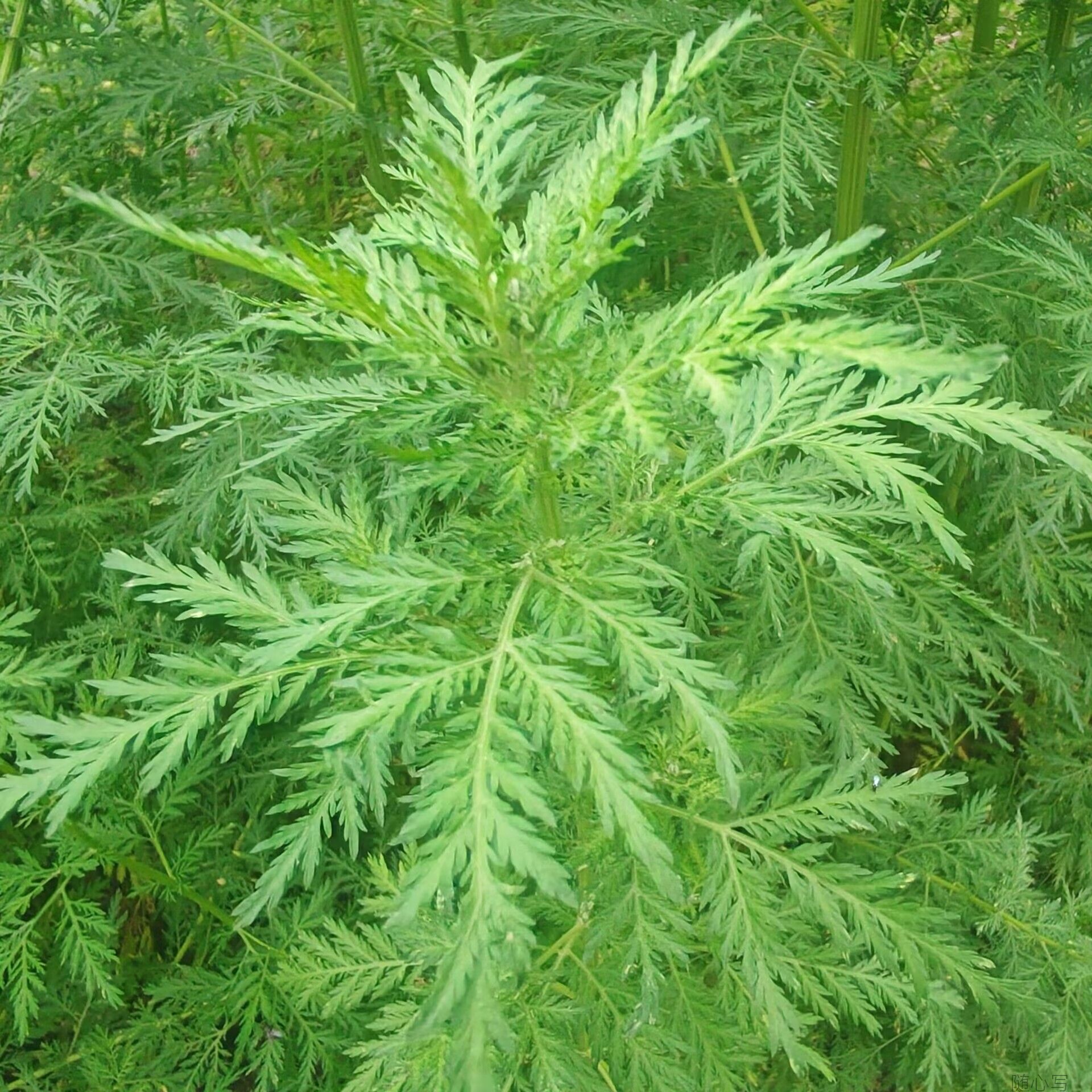 fd26635fe6d4b8fbf35286b160df42a9.jpg