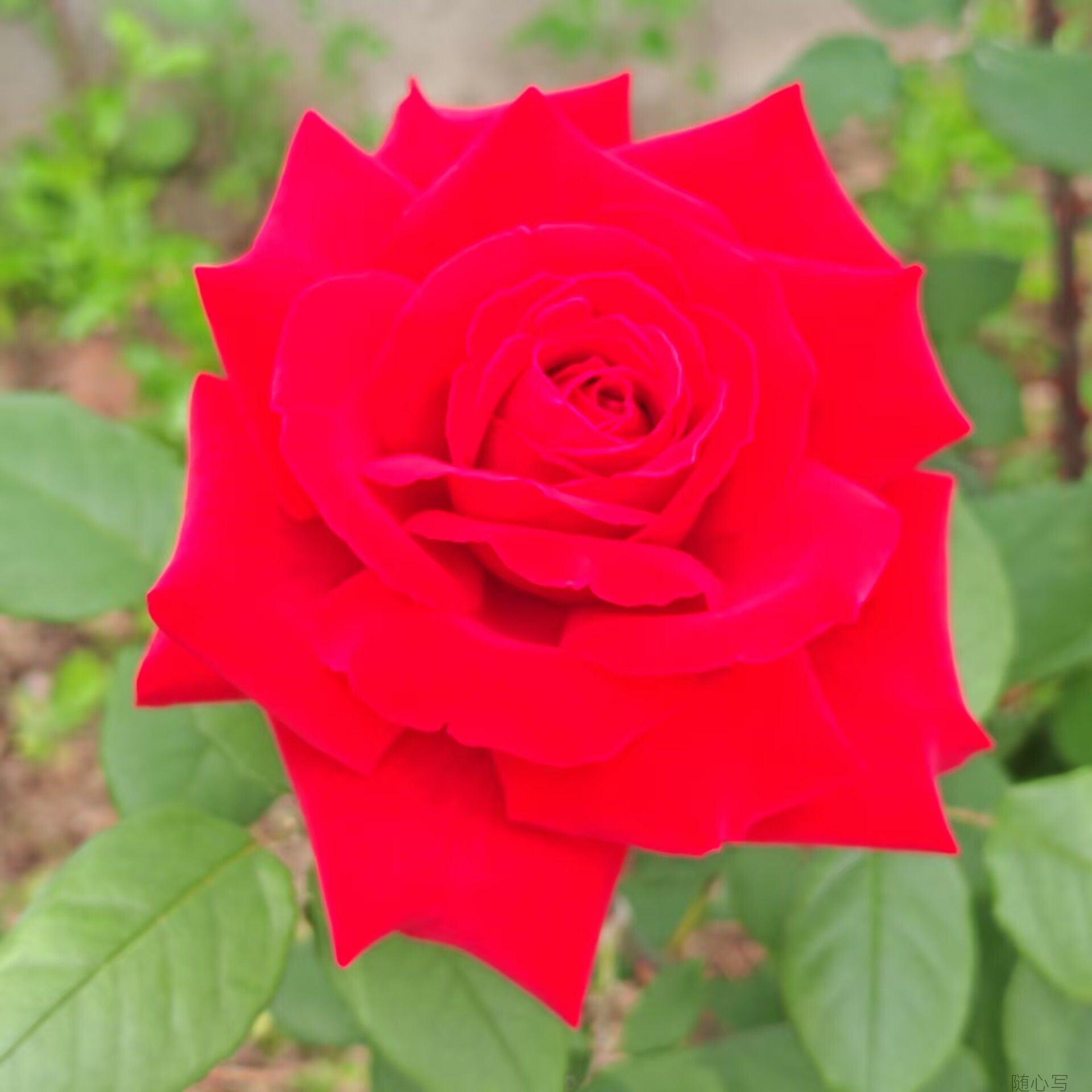 cc027e34f646eb4bcf39c6c0c501928a.jpg