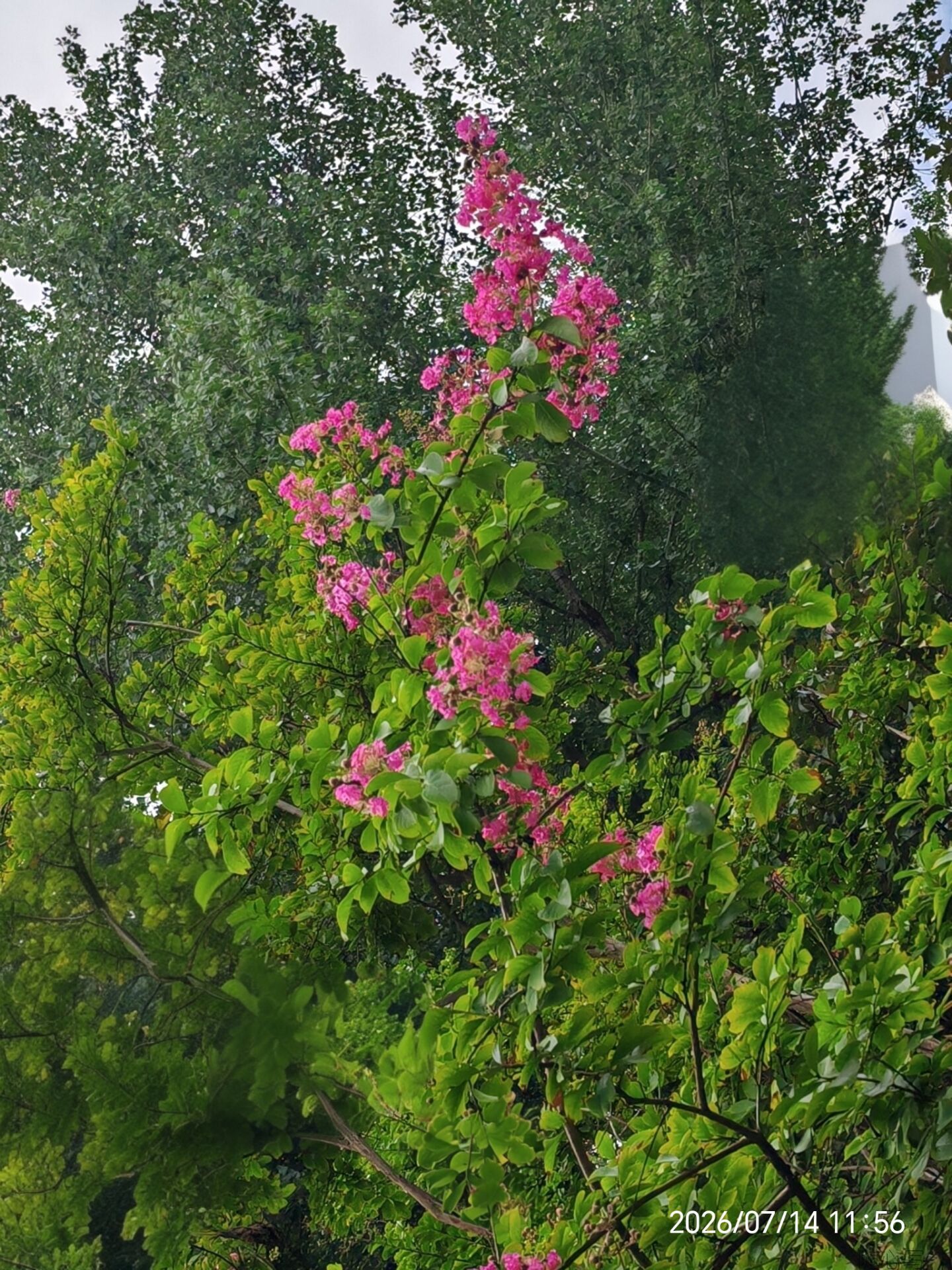 e6d30e35f28010d850860719bf251d55.jpg