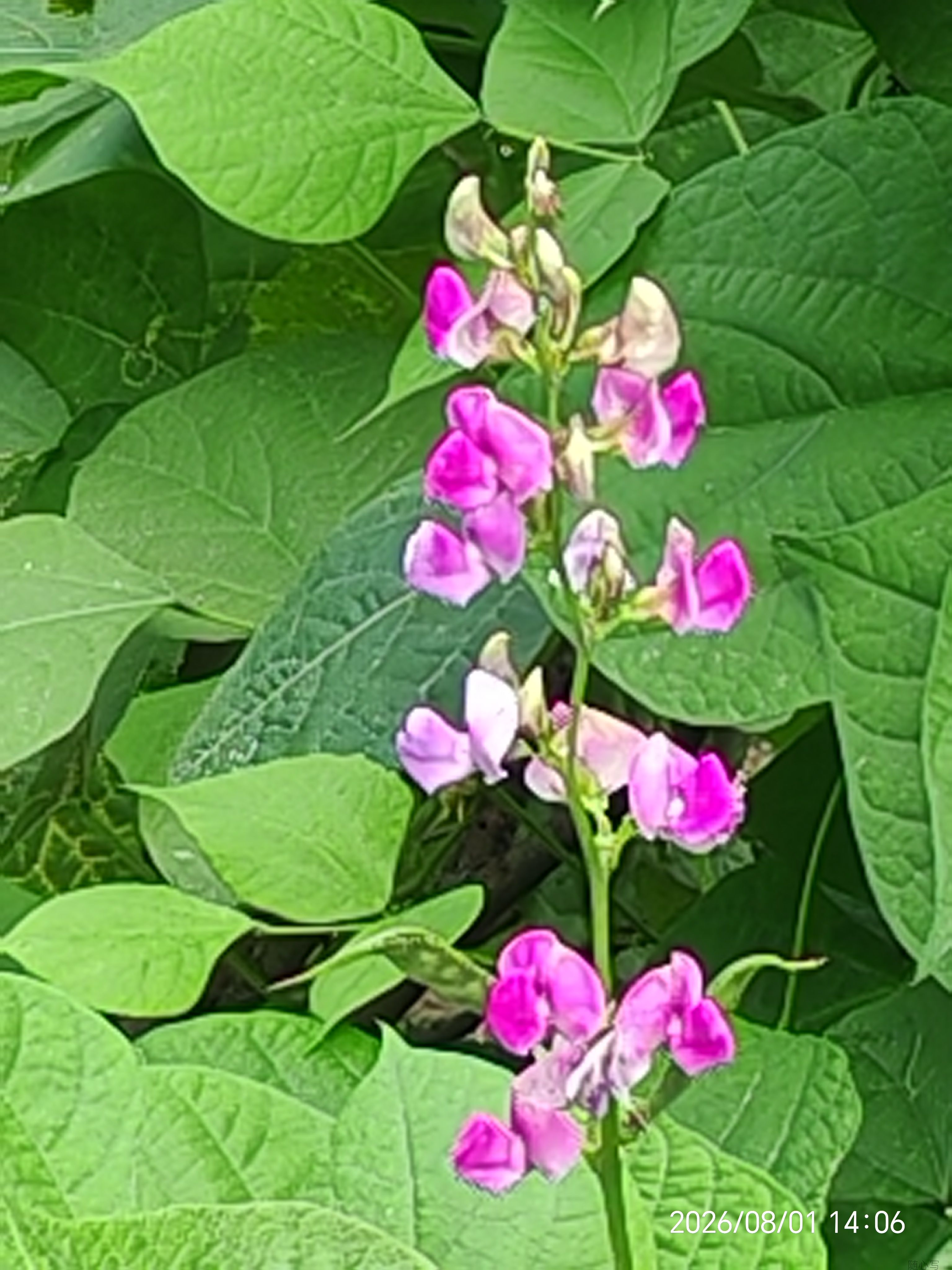 3b3a33461ab20662e7cc44a1ffd27fde.jpg